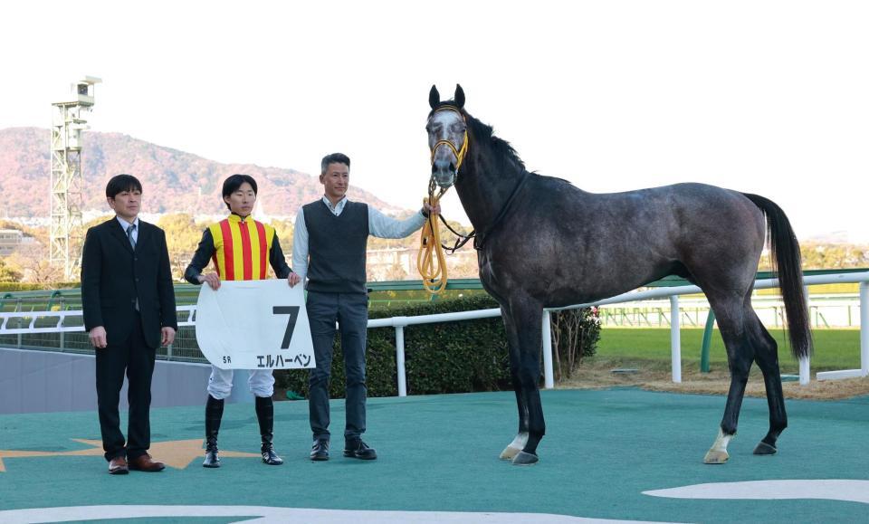 　新馬戦を快勝したエルハーベン（撮影・石湯恒介）