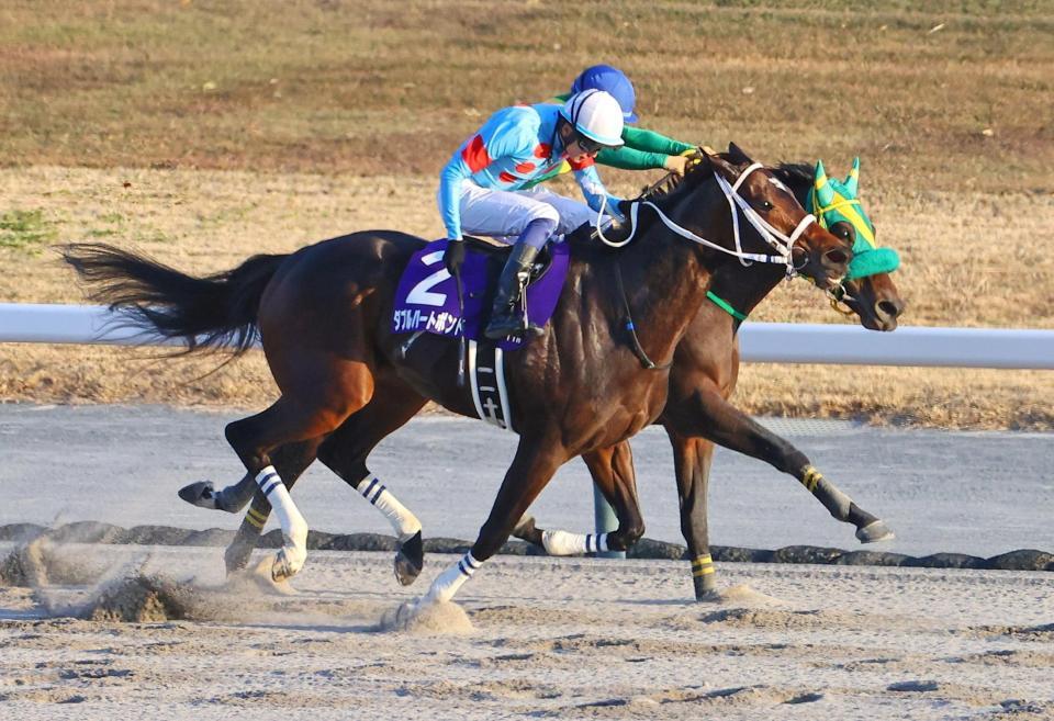 　チャンピオンズＣを制した坂井騎乗のダブルハートボンド（手前）