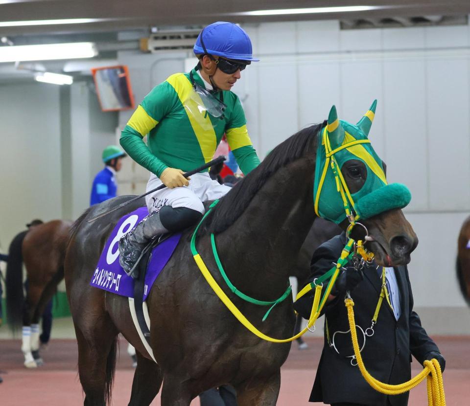 　２着となり引き揚げる川田騎乗のウィルソンテソーロ