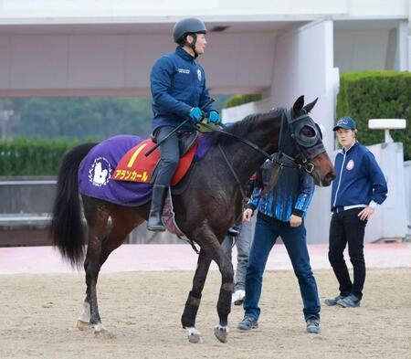 　データ班がイチ押しするアランカール