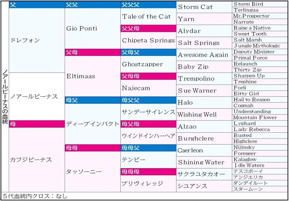 　ノアールビーナスの５代血統表