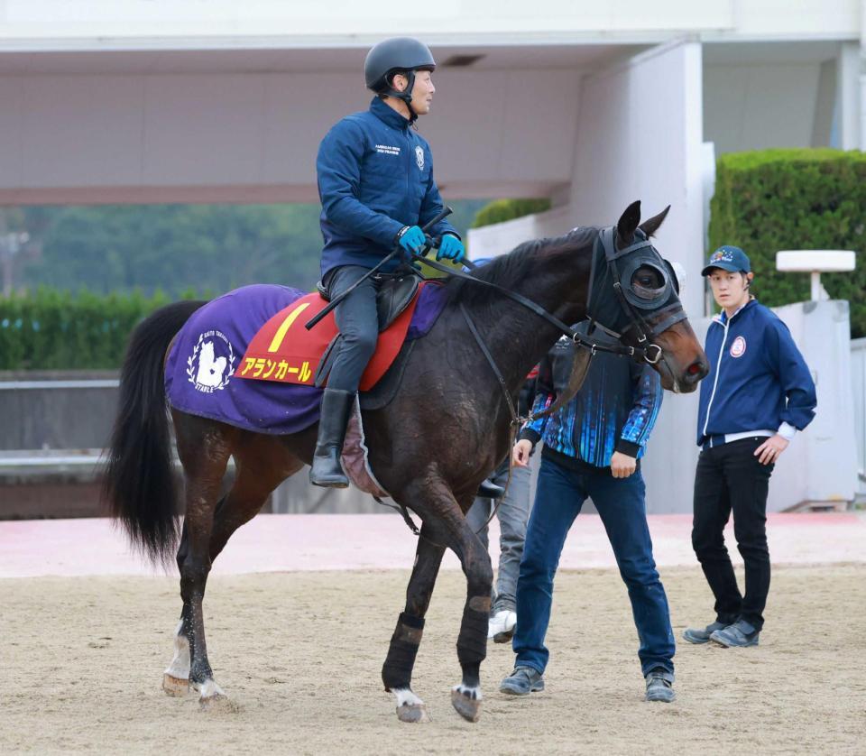 　データ班がイチ押しするアランカール