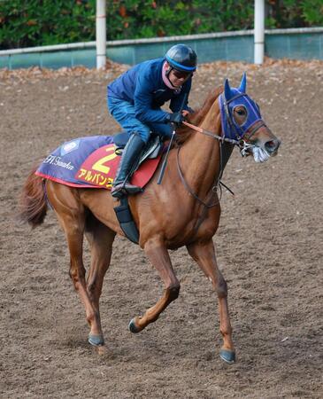 　坂路を駆け上がるアルバンヌ＝栗東トレセン（撮影・石湯恒介）