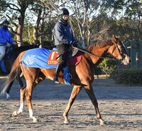 　Ｇ１奪取を狙うヒズマスターピース