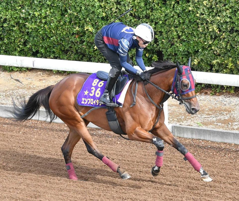 　海外の強豪に挑むエンブロイダリー