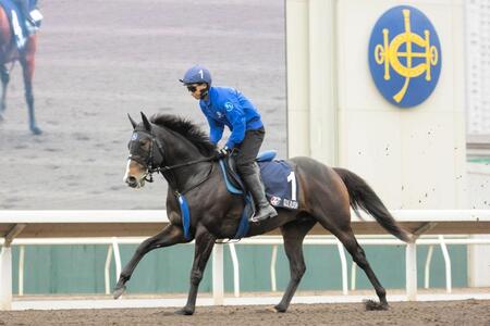 【香港マイル】ソウルラッシュ 仕上がり良好 三度目の正直だ 11日最終追い切り