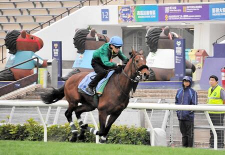 【香港C】ベラジオオペラ 香港仕様にカスタム 上村師「完成の域に来た」3連覇中ロマンチックウォリアー止めてみせる