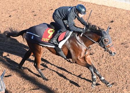 【阪神JF】ショウナンカリス 自己ベスト大幅更新 加藤士師も自信「万全の態勢」