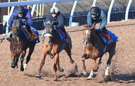 　美浦Ｗ３頭併せで追い切ったヒズマスターピース（右）（撮影・園田高夫）