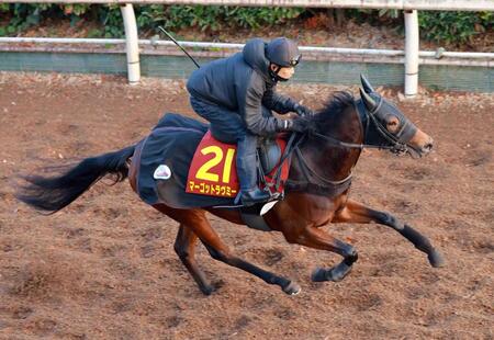 　栗東坂路で追い切るマーゴットラヴミー（撮影・石湯恒介）