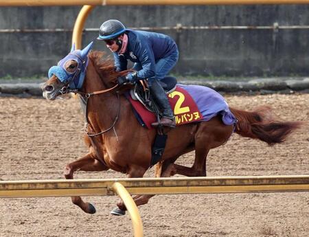 　栗東調整で好ムードが漂うアルバンヌ