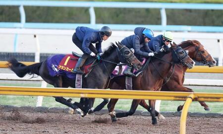 　切れのある脚さばきを披露したアランカール（左）＝撮影・中田匡峻