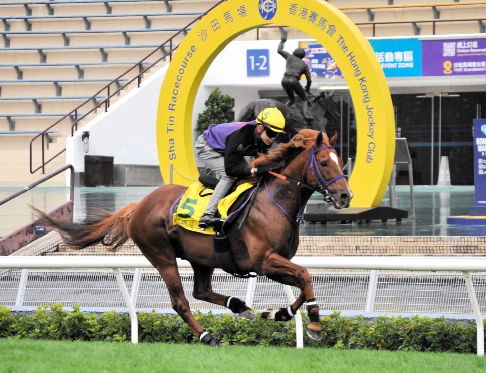 　シャティン競馬場の芝コースを力強く駆けたウインカーネリアン