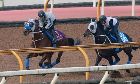 　栗東ＣＷで追い切るメイショウタバル（左）＝撮影・石湯恒介