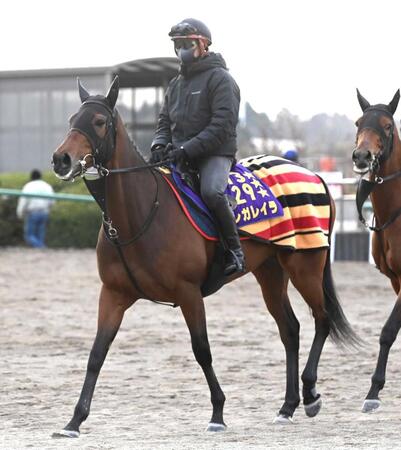 　史上最多得票を力に連覇を目指すレガレイラ