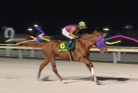 　ファンの前で最後の雄姿を披露したカジノフォンテン＝撮影・村上英明