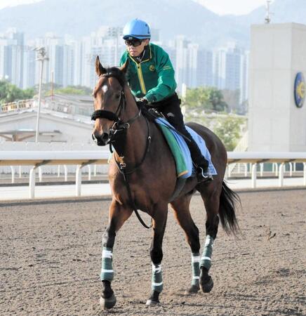 【香港C】ベラジオオペラ 輸送後戸惑いも追い切りで競馬モードに 陣営「徐々に戻ってきた」