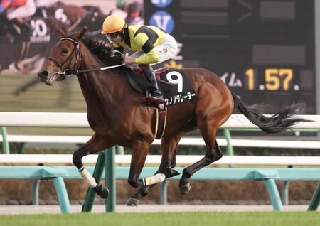 葉牡丹賞を快勝したサノノグレーター