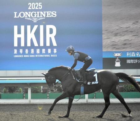 　レース前日はオールウェザーコースで調整したソウルラッシュ＝シャティン競馬場