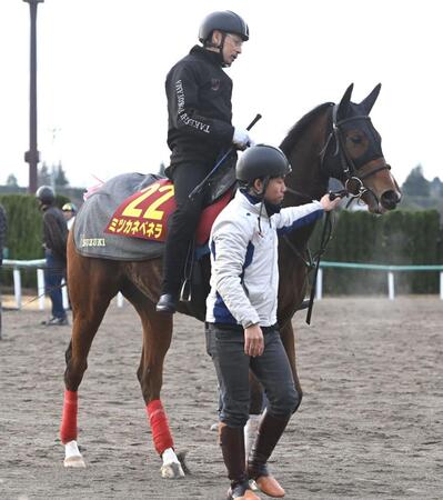 　ミツカネベネラ