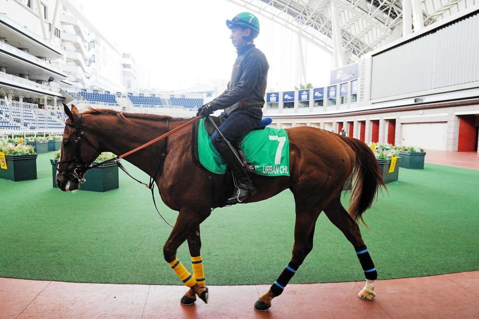 　打倒欧州勢を狙うアーバンシック（ｃ）Ｈｏｎｇ　Ｋｏｎｇ　Ｊｏｃｋｅｙ　Ｃｌｕｂ