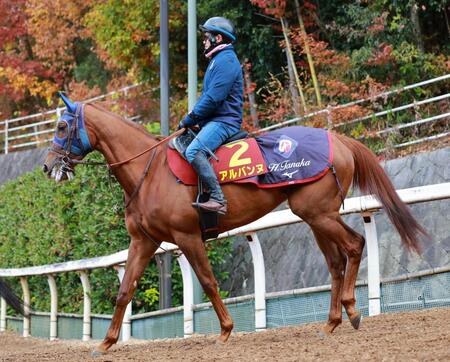 【阪神JF】アルバンヌ 馬体重減でも大丈夫 穂苅助手「しっかり攻め、しっかり食べての体重なので」