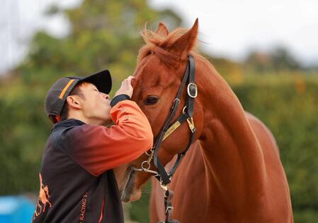 　頂点奪取へ好ムードを漂わせるスターアニス