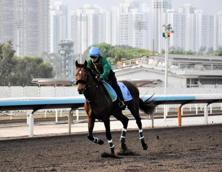 　オールウェザーコースを軽く流したベラジオオペラ