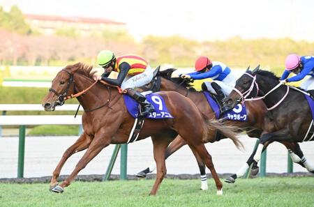 　阪神ＪＦを制したスターアニス（左）