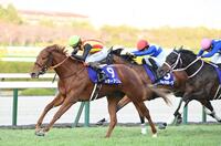 　阪神ＪＦを制したスターアニス（左）