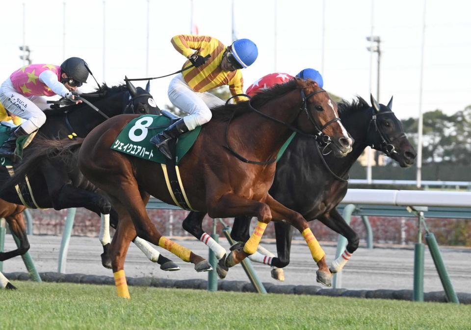 　中日新聞杯を制したシェイクユアハート