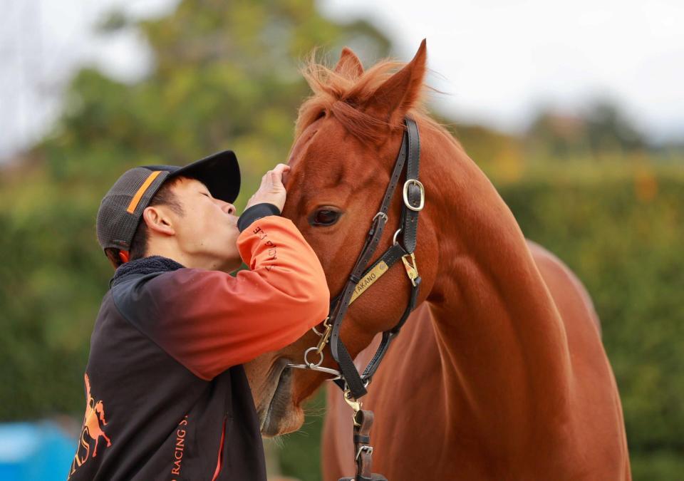 　頂点奪取へ好ムードを漂わせるスターアニス
