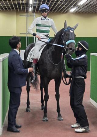 　新馬戦を快勝したウルフ