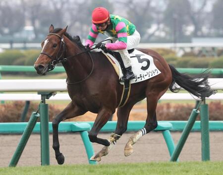 　後続を突き放したジーティーシンドウ