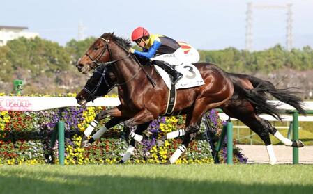 　新馬戦を制したページターナー（手前）＝撮影・中田匡峻