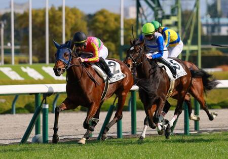 【新馬戦】テイエムスティール　直線鋭く伸びてＶ　高橋一師「すごい切れ味を見せてくれましたね」