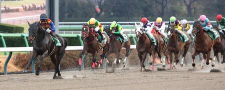　後続を突き放すテーオーエルビス（左端）。右端はヤマニンチェルキ