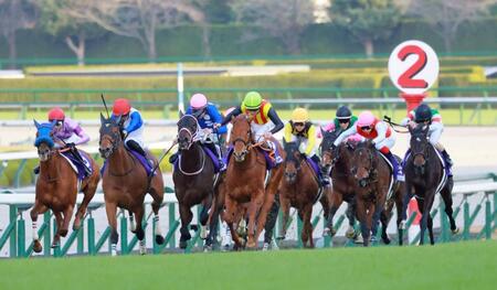 　直線の坂で抜け出すスターアニス（左から４頭目）＝撮影・石湯恒介