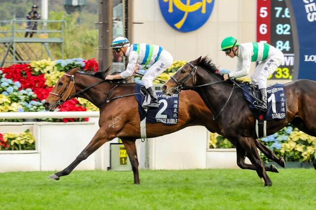 香港マイル】ソウルラッシュ 意地の2着 有終Vならずも香港3冠馬に