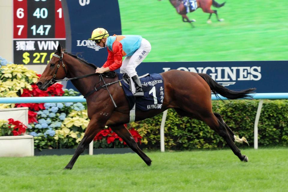 カーインライジング　香港スプリント　ぬいぐるみ　香港国際競走　日本未発売　現地物 カーインライジング 香港スプリント ぬいぐるみ 香港国際競走 日本未