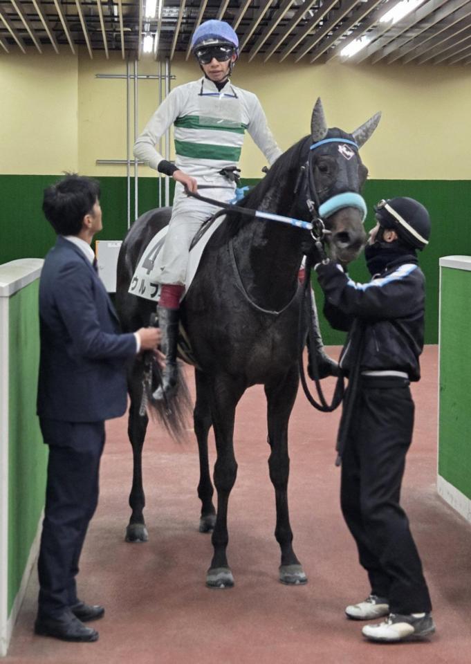 　新馬戦を快勝したウルフ