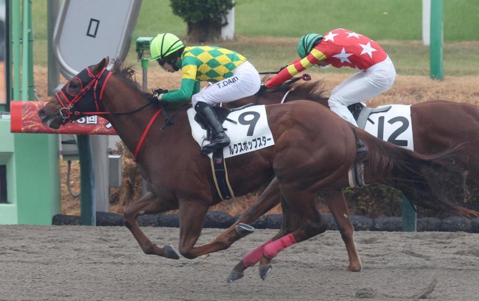 　コウジハラをかわしたルクスポップスター（手前）