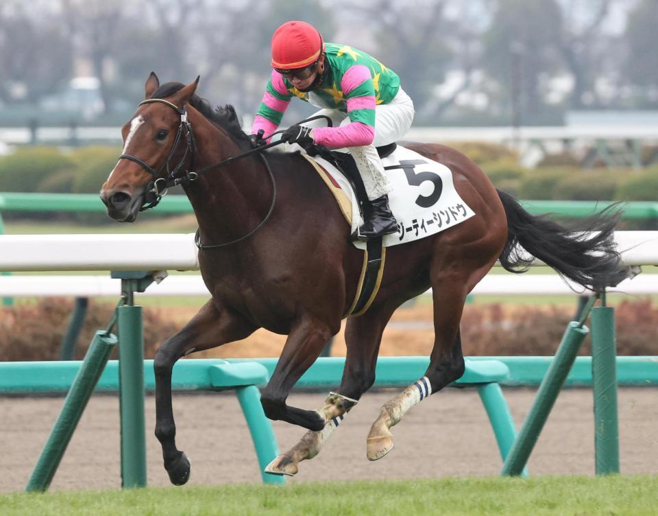 　後続を突き放したジーティーシンドウ