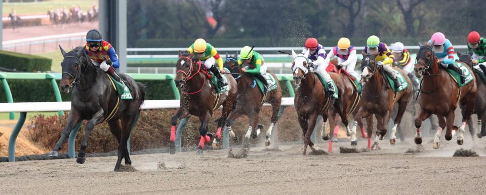 　後続を突き放すテーオーエルビス（左端）。右端はヤマニンチェルキ