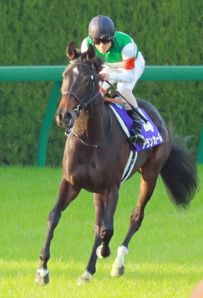 　５着に敗れたアランカール