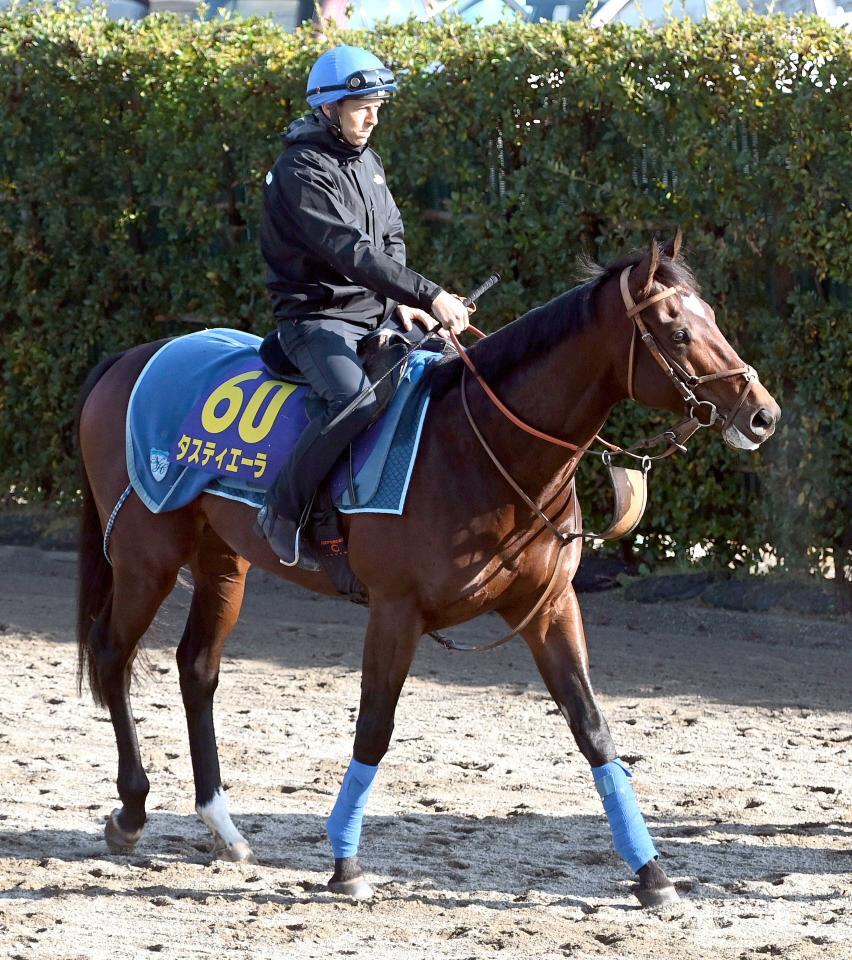 　タスティエーラ