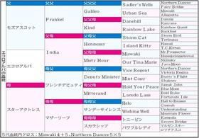 　エコロアルバの血統