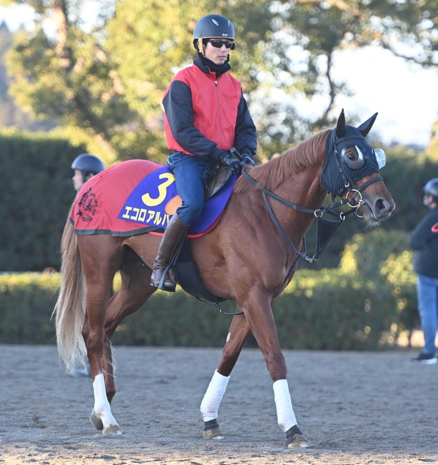 　強烈な末脚を武器に２歳マイル王の座を狙うエコロアルバ