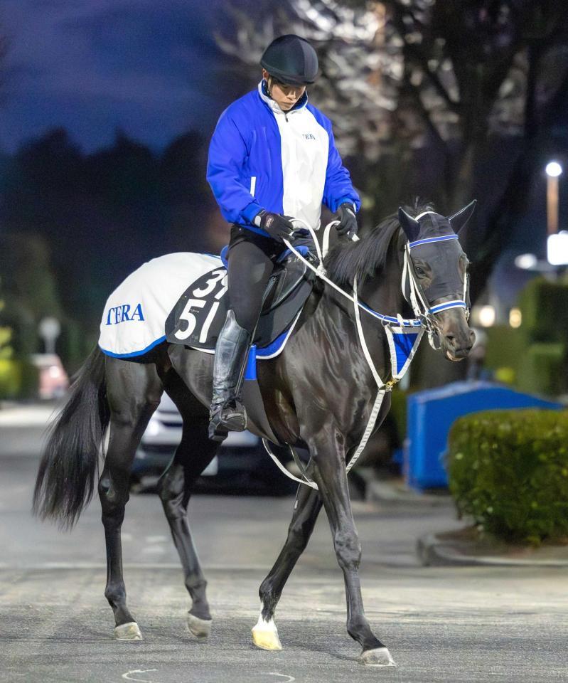 　運動するダノンテムズ