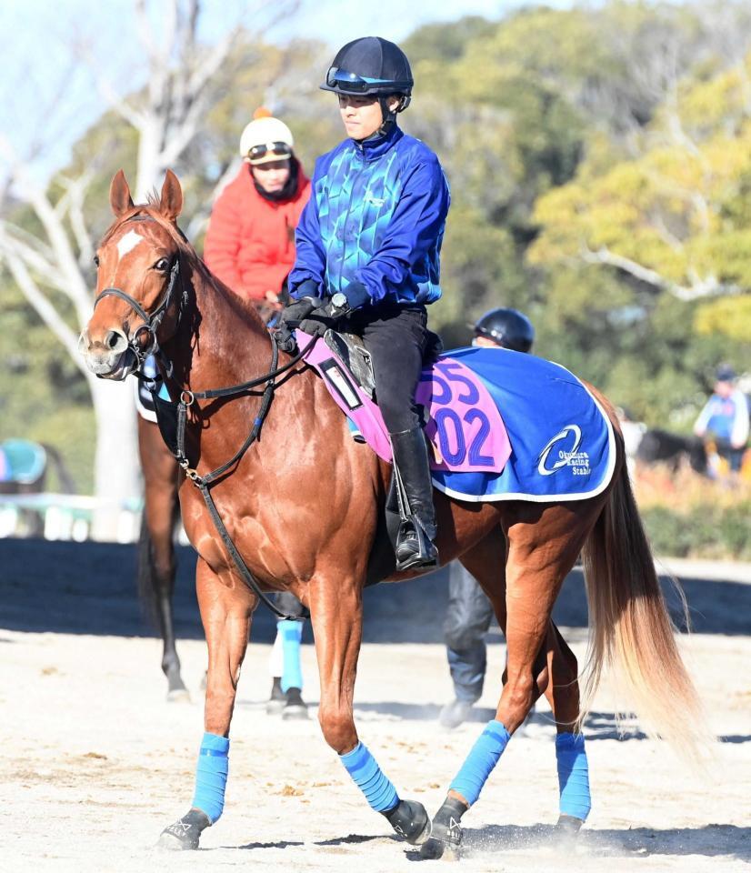 　重賞３勝の母を持つフォワードシャッセ